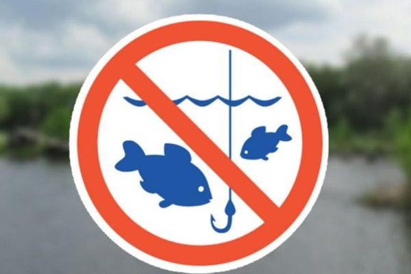 Ce este permis și ce nu în timpul interdicției de pescuit în Moldova