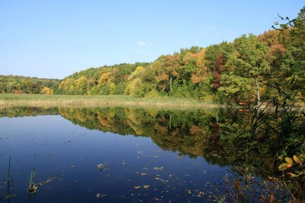 Pescuit cu plată în iazul din satul Țaul, Dondușeni: Relaxare liniștită și capturi excelente