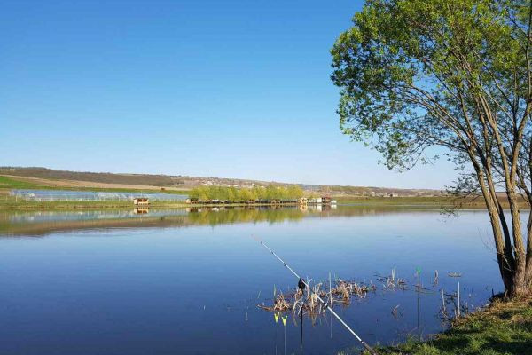 Lacul Pescar Club: Colțul Ideal pentru Natură și Pescuit
