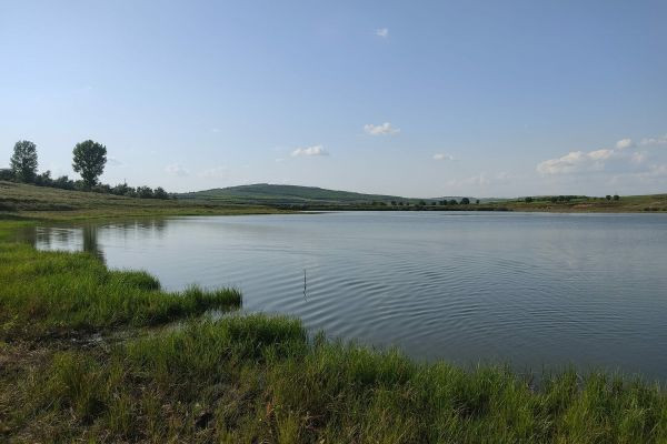 Lacul din Podgoreni: Descoperiți Oportunitățile Pescuitului Comercial cu Camping